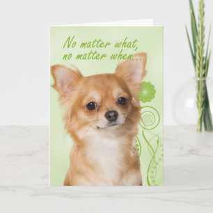 Chihuahua-Liebe/Support/Get Well-Card Karte