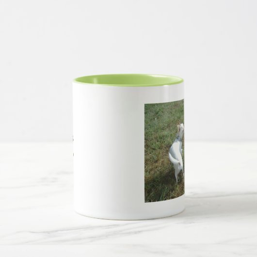 Chihuahua-Liebe-Tasse Tasse (Zentrum)