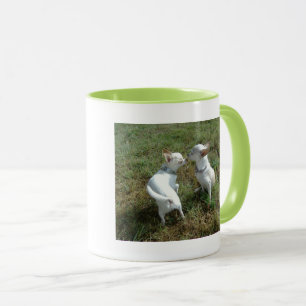 Chihuahua-Liebe-Tasse Tasse
