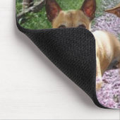 Chihuahua-lila Blumen Mousepad (Ecke)