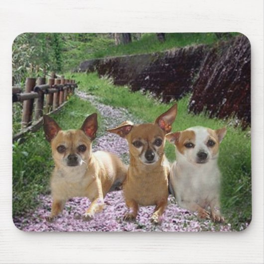 Chihuahua-lila Blumen Mousepad (Vorne)
