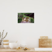 Chihuahua Lila Poster (Küche)