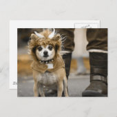Chihuahua Lion mit Hörnern Postkarte (Vorne/Hinten)