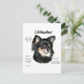 Chihuahua (long) History Design Postkarte (Stehend Vorderseite)