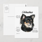 Chihuahua (long) History Design Postkarte (Vorne/Hinten)