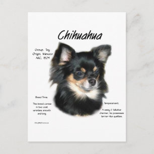 Chihuahua (long) History Design Postkarte