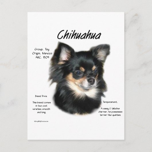 Chihuahua (long) History Design Postkarte (Vorderseite)