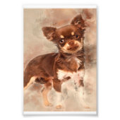Chihuahua looking at camer_Dog Lover Fotodruck (Vorne)