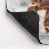 Chihuahua looking at camer_Dog Lover Mousepad (Ecke)