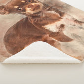 Chihuahua looking at camer_Dog Lover Sherpadecke (3/4)