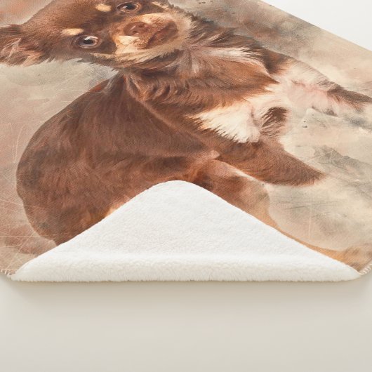 Chihuahua looking at camer_Dog Lover Sherpadecke (3/4)