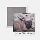 Chihuahua Lover's Delight Magnet (Vorderseite/Rückseite)
