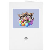 Chihuahua lustige Welpen (Hinten)