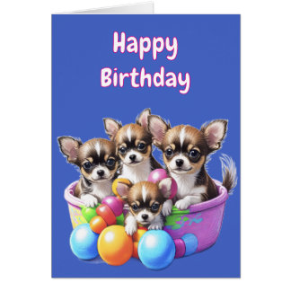 Chihuahua lustige Welpen