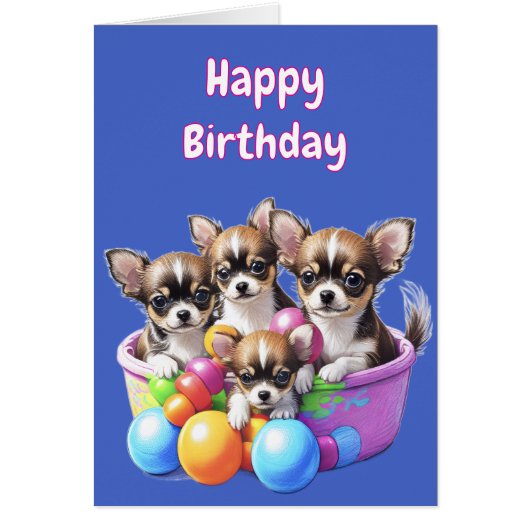 Chihuahua lustige Welpen (Vorne)