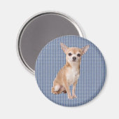 Chihuahua Magnet (Vorderseite/Rückseite)