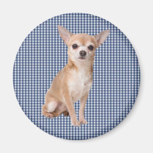 Chihuahua Magnet (Vorne)