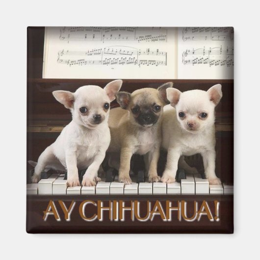 Chihuahua Magnet (Vorne)