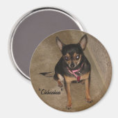 Chihuahua Magnet (Vorderseite/Rückseite)