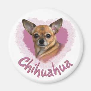 Chihuahua-Magnet Magnet