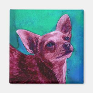 Chihuahua-Magnet - "Samt " Magnet