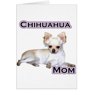 Chihuahua-Mama 4