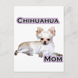 Chihuahua-Mama 4 Postkarte