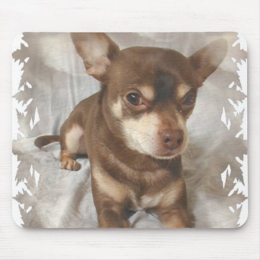 Chihuahua-Mausunterlage Mousepad (Vorne)