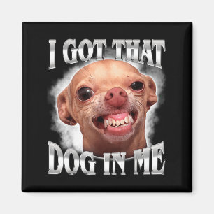 Chihuahua Meme Hat den Hund im Humor Lustiger Hund Magnet