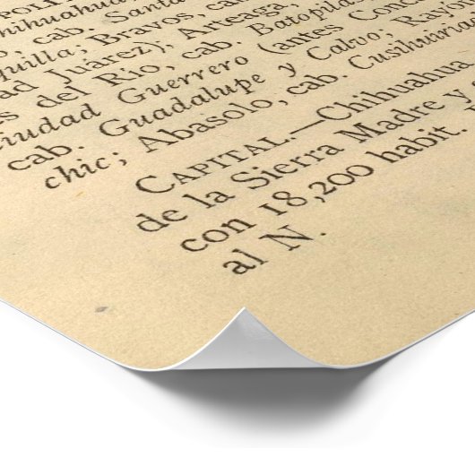 Chihuahua, Mexiko Poster (Ecke)