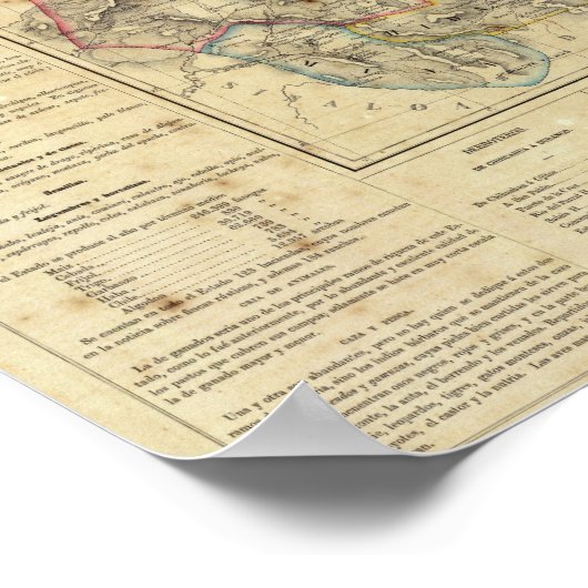 Chihuahua, Mexiko Poster (Ecke)