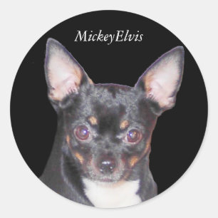 Chihuahua MickeyElvis Aufkleber