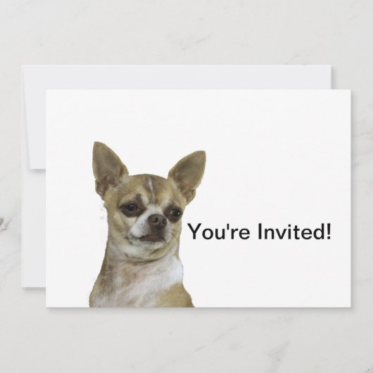 Chihuahua mit Attitude Einladung (Vorderseite)