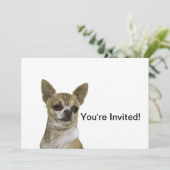 Chihuahua mit Attitude Einladung (Stehend Vorderseite)