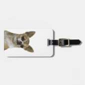 Chihuahua mit Attitude Gepäckanhänger (Vorderseite horizontal)