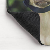 Chihuahua mit Brille Mousepad (Ecke)