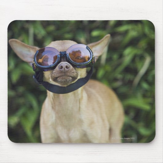 Chihuahua mit Brille Mousepad (Vorne)