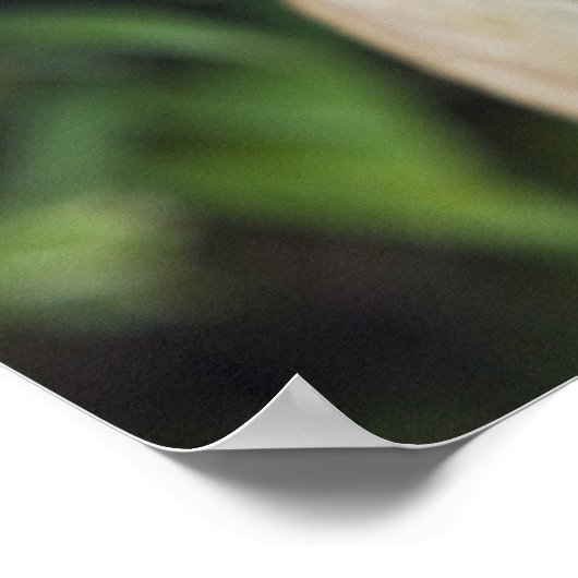 Chihuahua mit Brille Poster (Ecke)