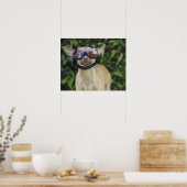 Chihuahua mit Brille Poster (Küche)