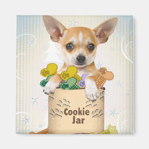 Chihuahua mit Cookie Jar Magnet