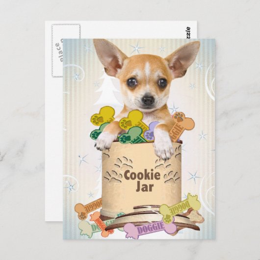 Chihuahua mit Cookie Jar Postkarte (Vorne/Hinten)