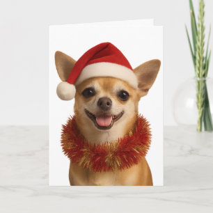 Chihuahua mit frechem Blick im Weihnachtsmann-Hut Karte