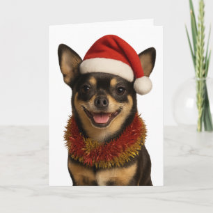 Chihuahua mit frechem Blick im Weihnachtsmann-Hut Karte