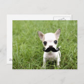 Chihuahua mit Funny Mustache im Garten Postkarte (Vorne/Hinten)