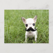 Chihuahua mit Funny Mustache im Garten Postkarte (Vorderseite)