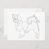 Chihuahua mit langhaariger Oberfläche farbbereit u Postkarte (Vorne/Hinten)