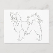 Chihuahua mit langhaariger Oberfläche farbbereit u Postkarte (Vorderseite)