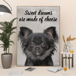 Chihuahua mit lustigem Hundebandposter Poster