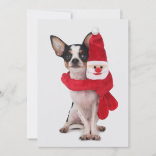 Chihuahua mit Weihnachtsmann-Puppe Feiertagskarte