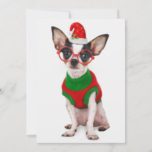Chihuahua mit Weihnachtsmannmütze und Brille Feiertagskarte
